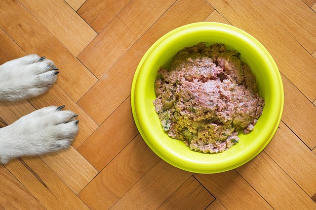 Hvordan kan du lave dit eget hjemmelavede hundefoder?