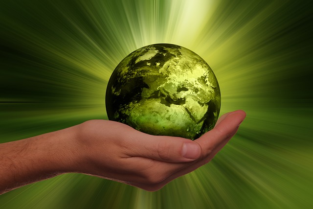 Optimer din virksomheds bæredygtighed med Torks miljøvenlige spandløsninger